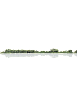 горизонт Деревья на горизонте ALT019-02-D