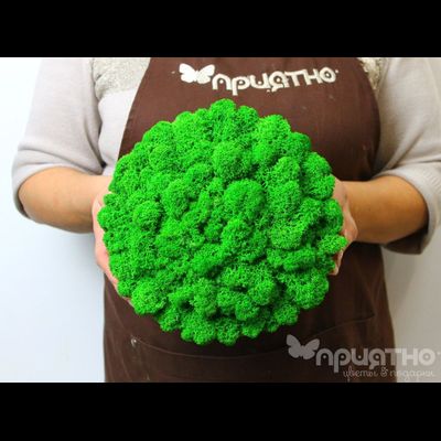 ЖИВАЯ ЭКО-КАРТИНА 1042