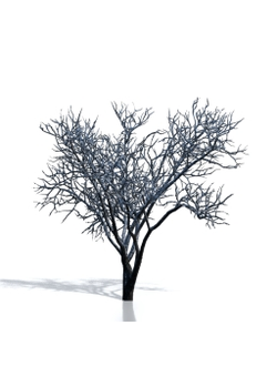 Billboards Дерево зимнее_12