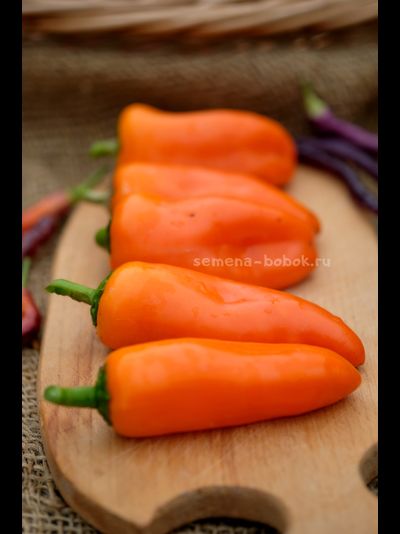 Перец сладкий Апельсин, 10 шт