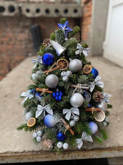 Ель новогодняя "Морозная" 50см