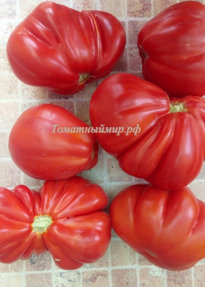 Томат Красная груша гигант Гран-Сассо  (Red Pear Giant Gransasso), Италия