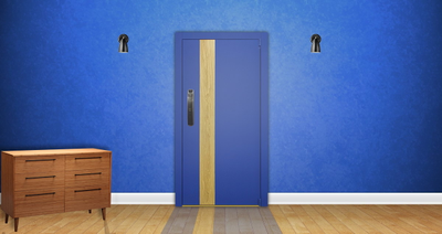 Стальная дверь   Lamborghini. Заказная модель.