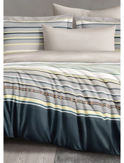 Постельное белье Cleo семейное сатин 145х215х2 220х240х1 50х70х2 70х70х2 41/016-SL