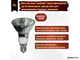 Paulmann Halogen ALU Reflector PAR16 50w 230v E14