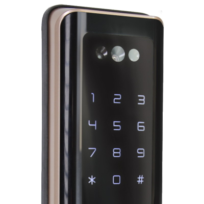 Умный дверной замок с ручкой Solity GP-6000BAK Champagne Gold, Face-ID