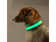 Светящийся ошеник, led ошейник, светодиоды, светодиодный ошейник, для собаки, подсветка, Flashdog