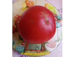 Томат Клавдия еремеевская