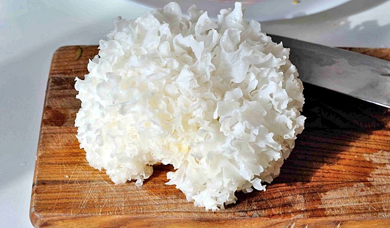 Белые древесные грибы Иньер 50 г "серебряные ушки" "белые гребешки" "кораллы"