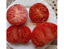 Томат Шеф Юбер (Chef Hubert)
