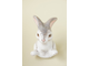 Зайчик "Стёпа"