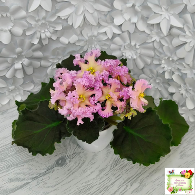 РМ-Оранжевое Лето (Н. Скорнякова) 2022 г. (детка)