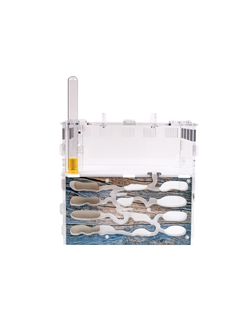 Муравьиная ферма 4ants Архипелаг