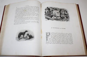 Артамов П. Россия историческая, монументальная и живописная. В 2-х томах. [На фр. яз.] Paris: Ch. Lahure, 1862-1865.