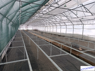 Система тумана низкого давления (480м2) 9,6 х 50м расход 5,2м3/ч (без ёмкости)