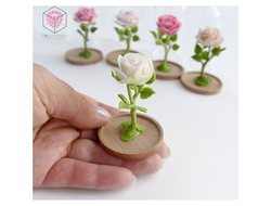 Миниатюрная роза под стеклянным колпаком . Ручная работа из полимерной глины.