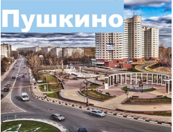 Пушкино
