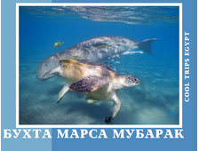 МОРСКАЯ ЭКСКУРСИЯ &quot;БУХТА МАРСА МУБАРАК (MARSA MUBARAK)&quot; - СНОРКЛИНГ ТУР