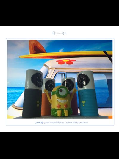 Видеоняня /WiFi видеокамера CleverDog Blue с DVR