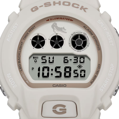 Часы Casio G-Shock DW-6900SHB-7