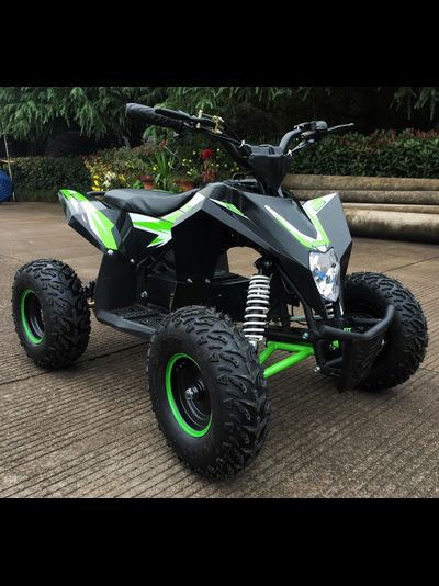 Детский квадроцикл Motax GEKKON 1300W