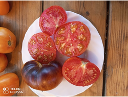 Томат Озарк закат (Ozark sunset), Германия