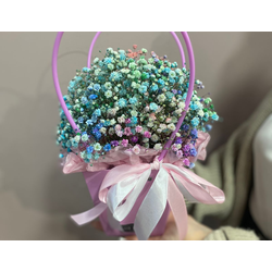 СУМОЧКА С ГИПСОФИЛОЙ