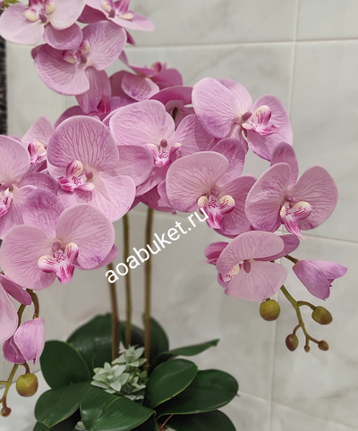 Композиция орхидея розовая кашпо малое № ОР010