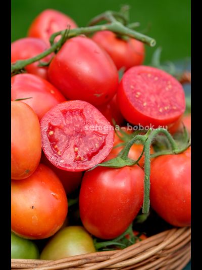 Томат Царица Полей, 10 шт