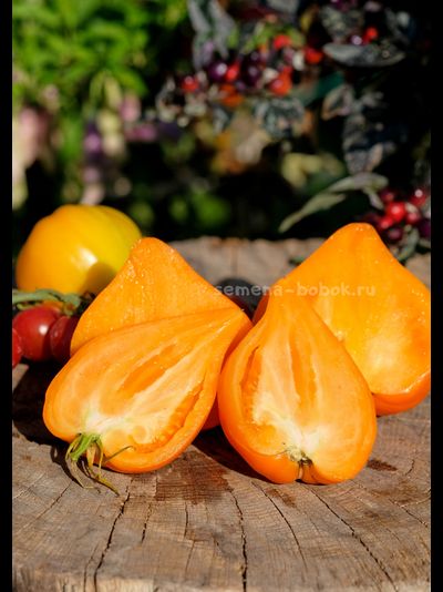 Томат Золотое Сердце, 10 шт