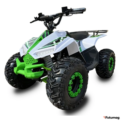 Электроквадроцикл ECO Lizard 48V30AH