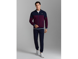 Костюмы  спортивные мужские 11SKM -1315 , трех цветов