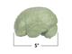 LER1903 Развивающая игрушка  &quot;Мозг человека модель в разрезе&quot;