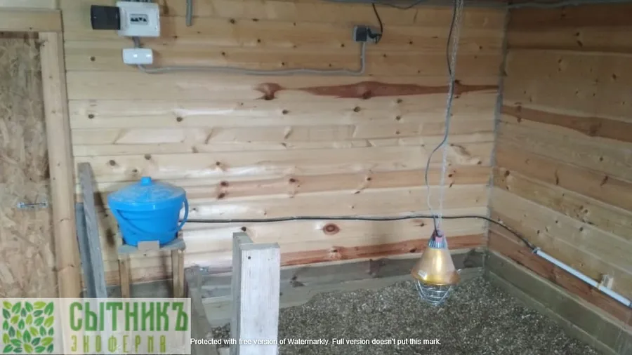 Сарай для деревенских кур на ферме