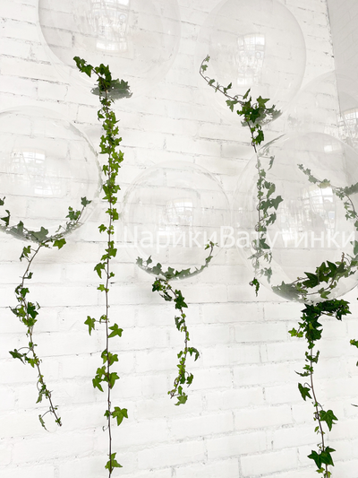 Шар баблс с живой зеленью 50см