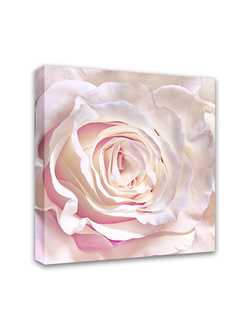 Печатная картина на деревянном подрамнике "Нежная роза"