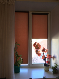 РУЛОННЫЕ ШТОРЫ