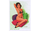 Худ. Arthur Sarnoff