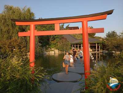 Японский сад в "Мрие"