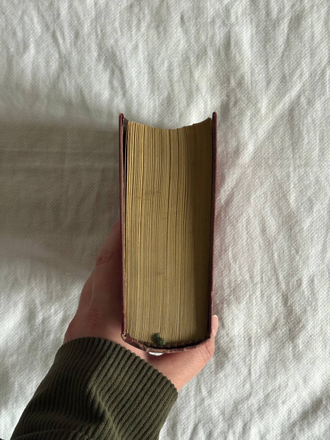 Жизнь Бенвенуто Челлини. Пер. М. Лозинского