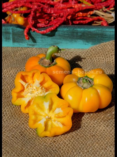 Сладкий перец Тыковка, 10 шт