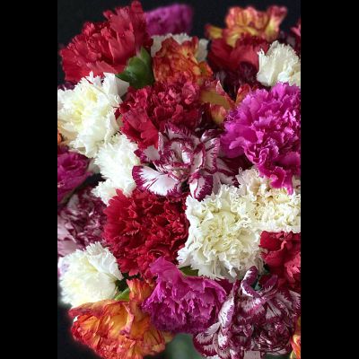 Гвоздика 35 шт