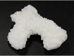 Коралл белый, коллекционный образец, Китай (42*32*11 мм, 10 г) №37630