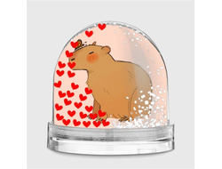 Водяной шар Капибара, Kapibara-san №11