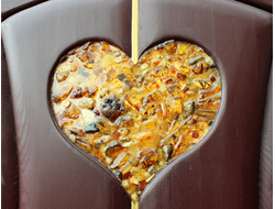 В Калининград в любой день. Цикличный тур, 2025