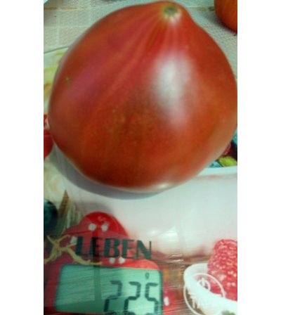 Томат Черное сердце с носиком от Борисовны (усл)