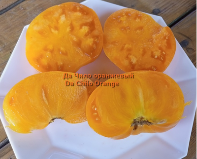 Томат Да Чило оранжевый (Da Chilo, США)