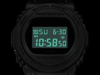 Часы Casio G-Shock DW-5700BBM-2ER