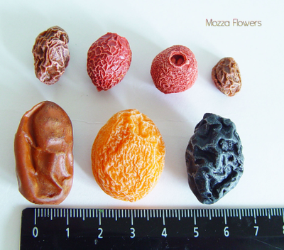 "Сухофрукты" Силиконовый молд