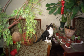 Сладков М К "Я красавец"